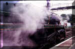 steam_train.JPG (64875 bytes)