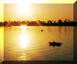 Nile_1.JPG (83569 bytes)