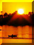 Nile_3.JPG (75430 bytes)