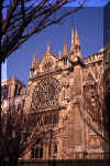 notre_dame_1.JPG (64540 bytes)