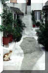 athens_3.JPG (41912 bytes)
