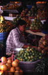 bali_10.JPG (53205 bytes)