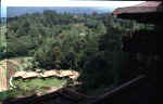 bali_11.JPG (57961 bytes)
