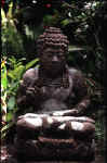 bali_14.JPG (51228 bytes)