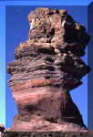 Tenerife_5.JPG (54072 bytes)